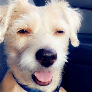 Meet your Posher, Heidy